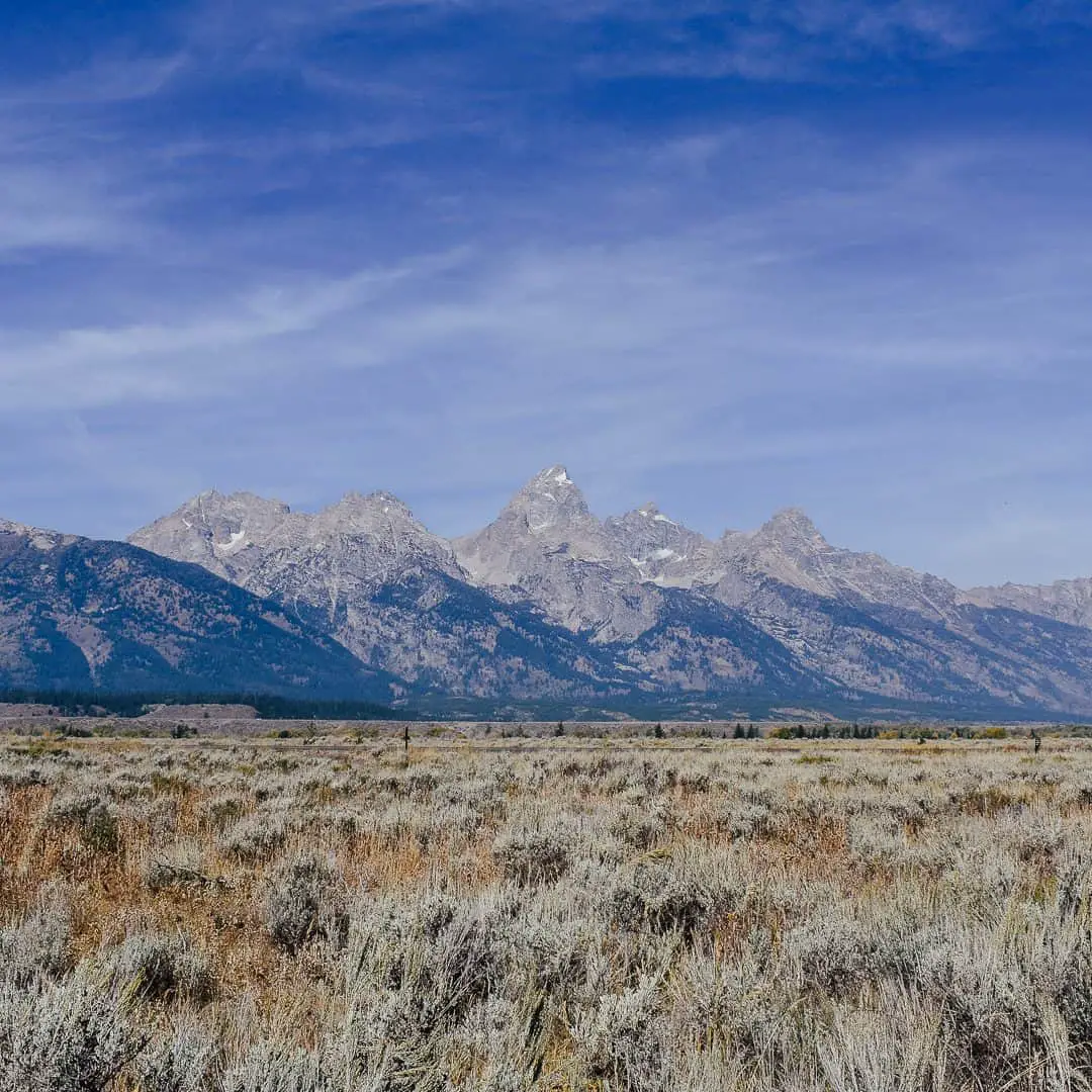 best month to visit jackson hole