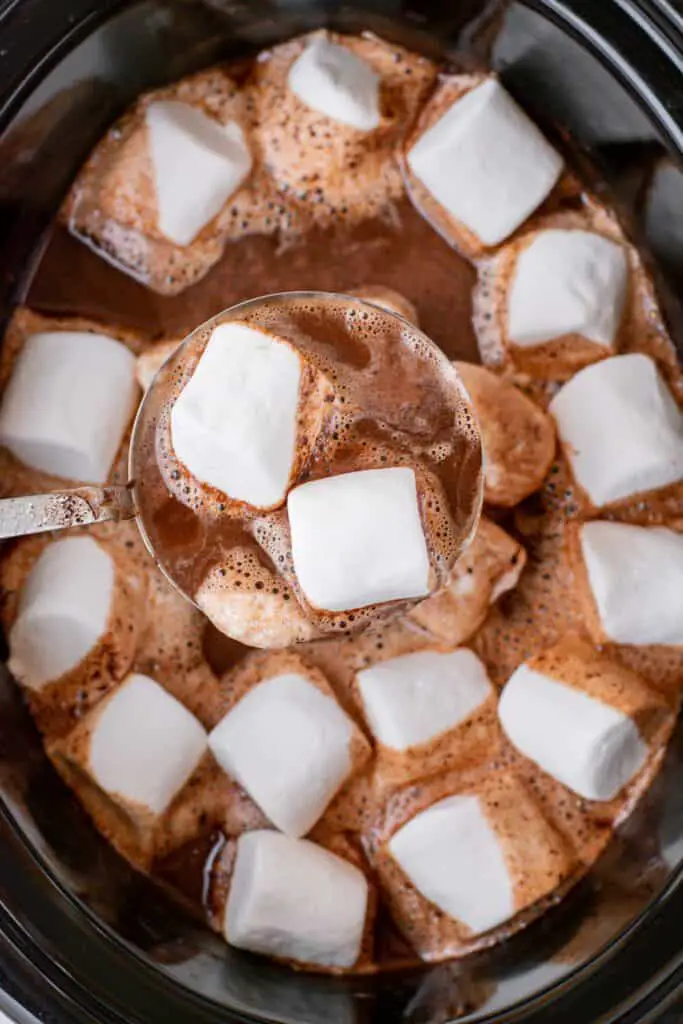 slow cooker hot chocolate