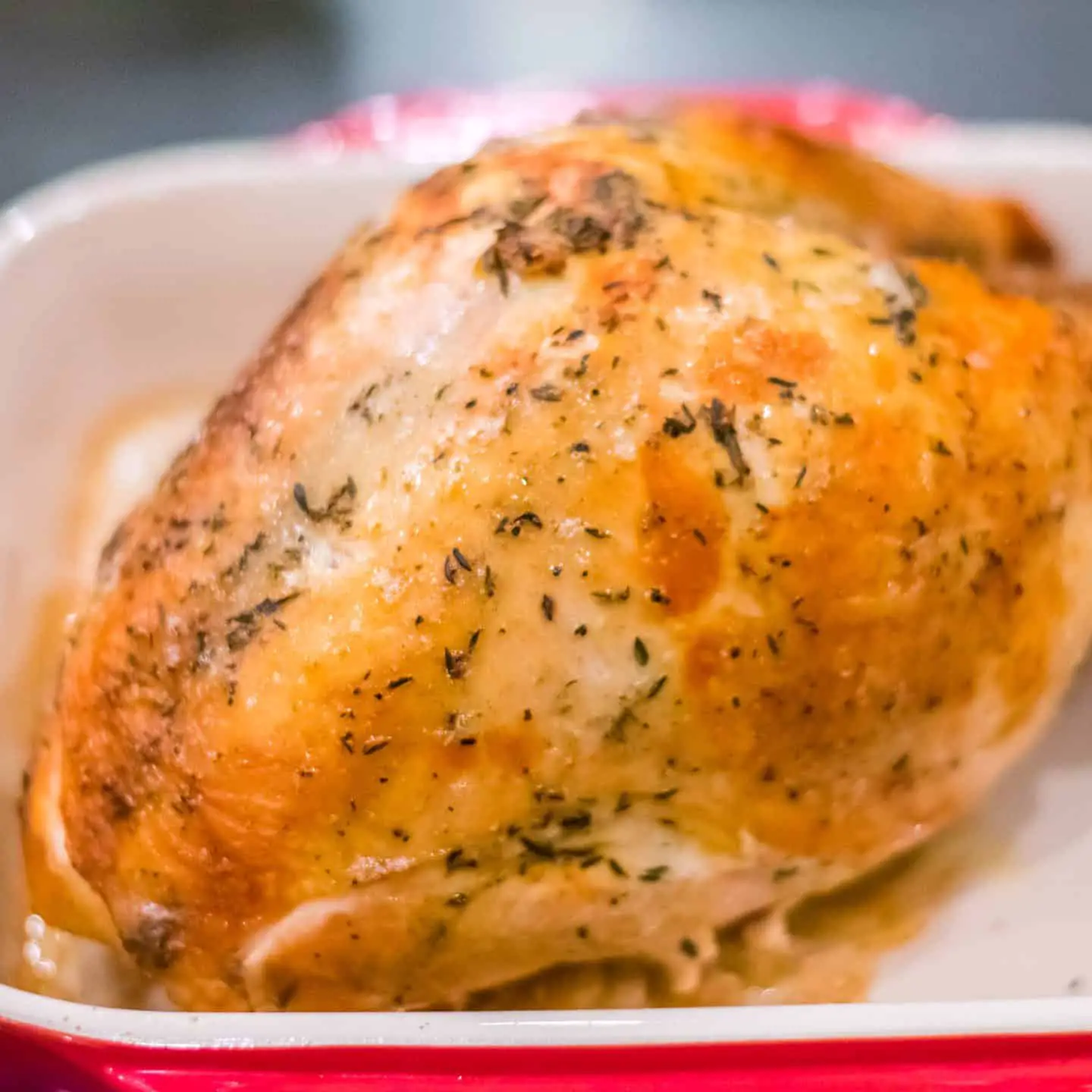 slow cooker turkey breast