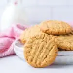classic peanut butter cookie